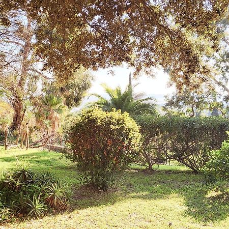 La Suite Costabella A Hyeres-Les-Palmiers Экстерьер фото