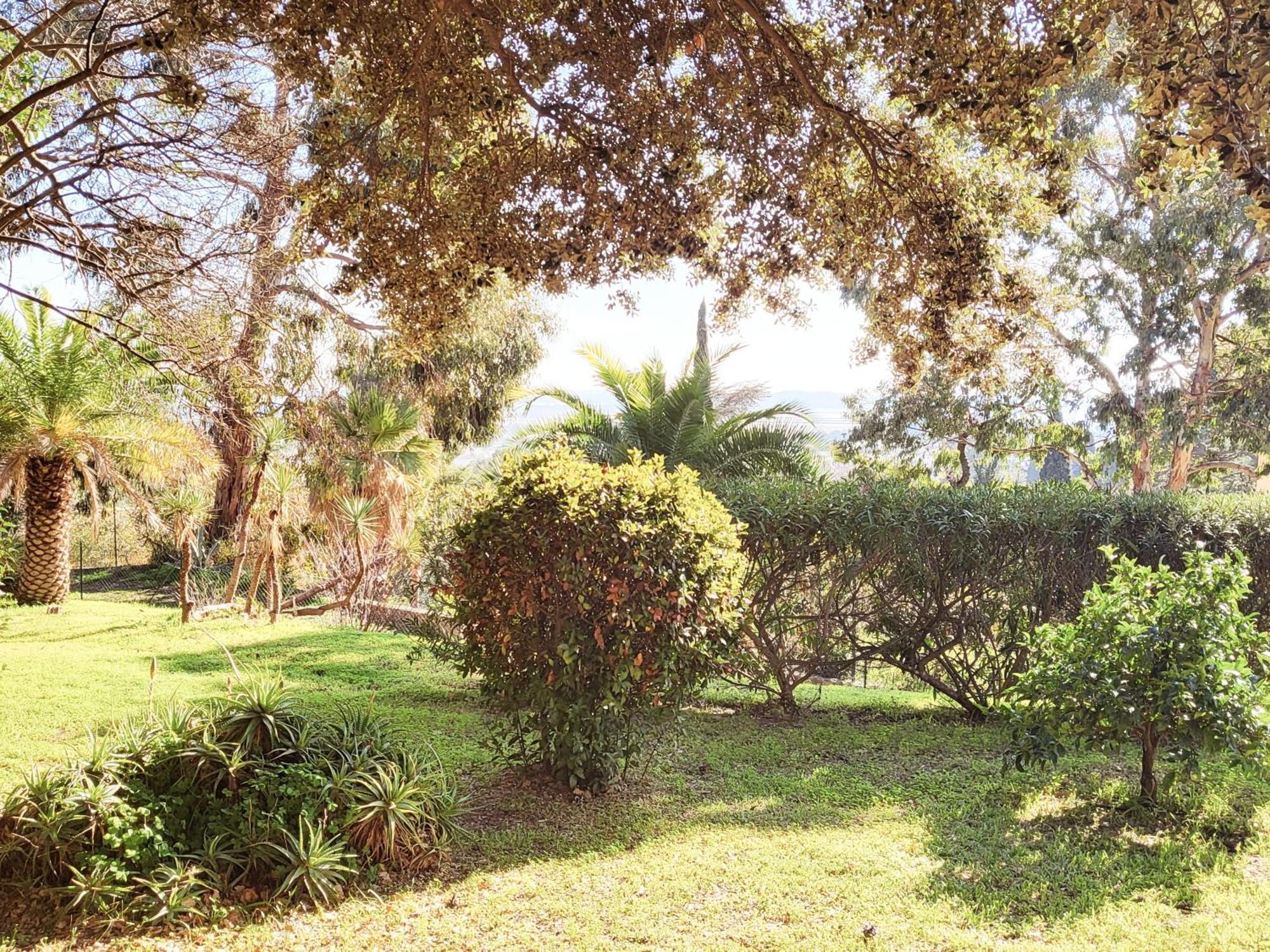 La Suite Costabella A Hyeres-Les-Palmiers Экстерьер фото